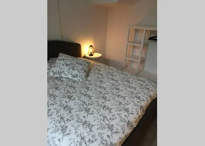 Au cœur de la Sologne